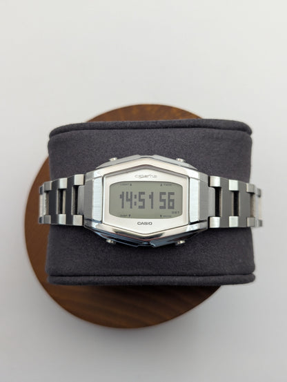 Casio Csterna CSN-010